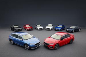 Skoda Octavia RS 2020 года  (WW)